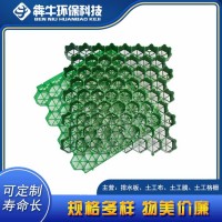 丰都县热点小区车位绿化塑料植草格